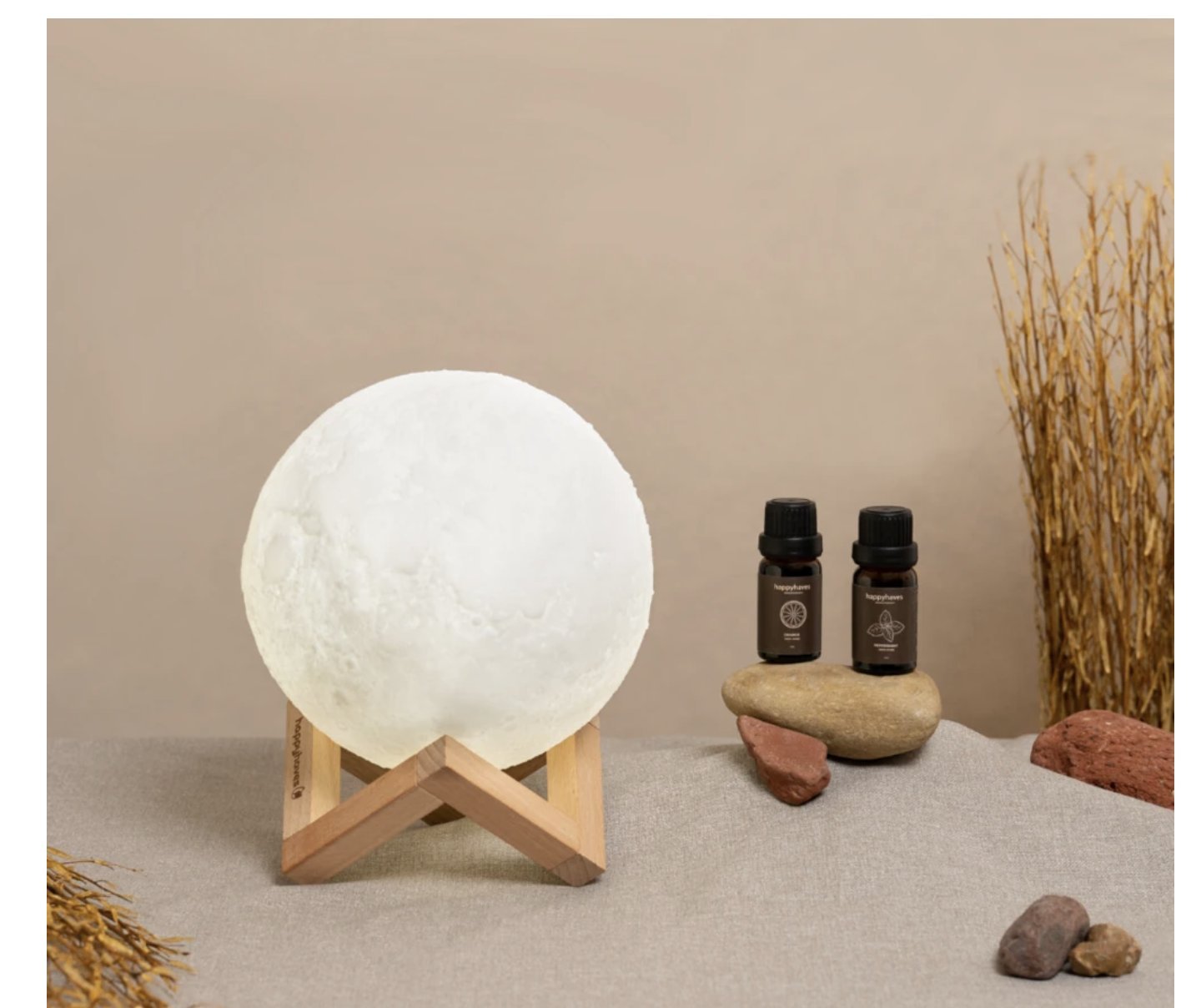 Replacements & Accessories