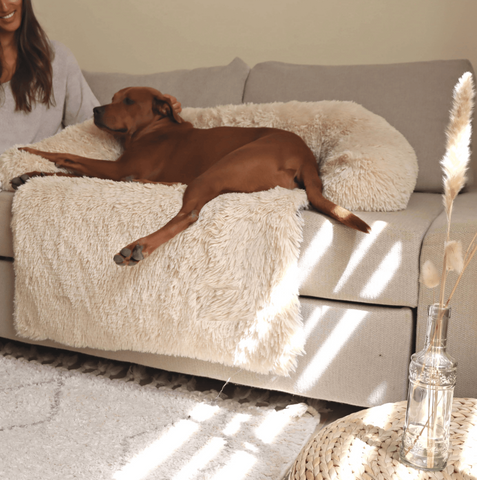Fluffy Calming dog bed (2-in-1)