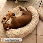 Fluffy Calming dog bed (2-in-1)