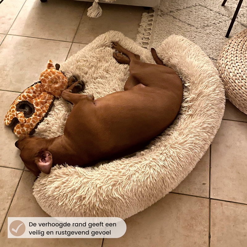 Fluffy Calming dog bed (2-in-1)