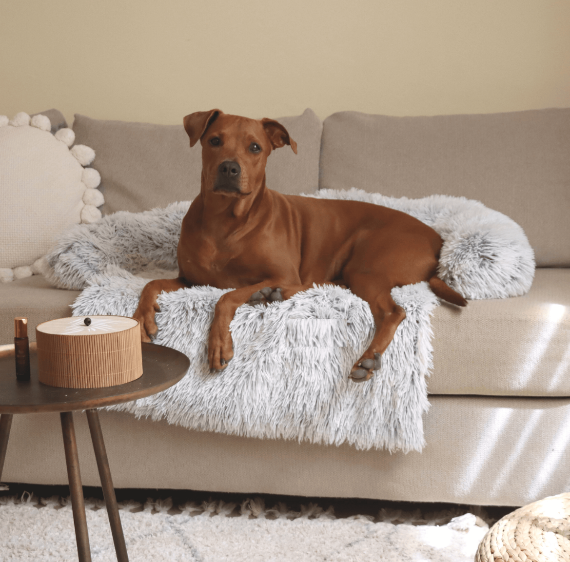 Fluffy Calming dog bed (2-in-1)
