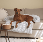 Fluffy Calming dog bed (2-in-1)