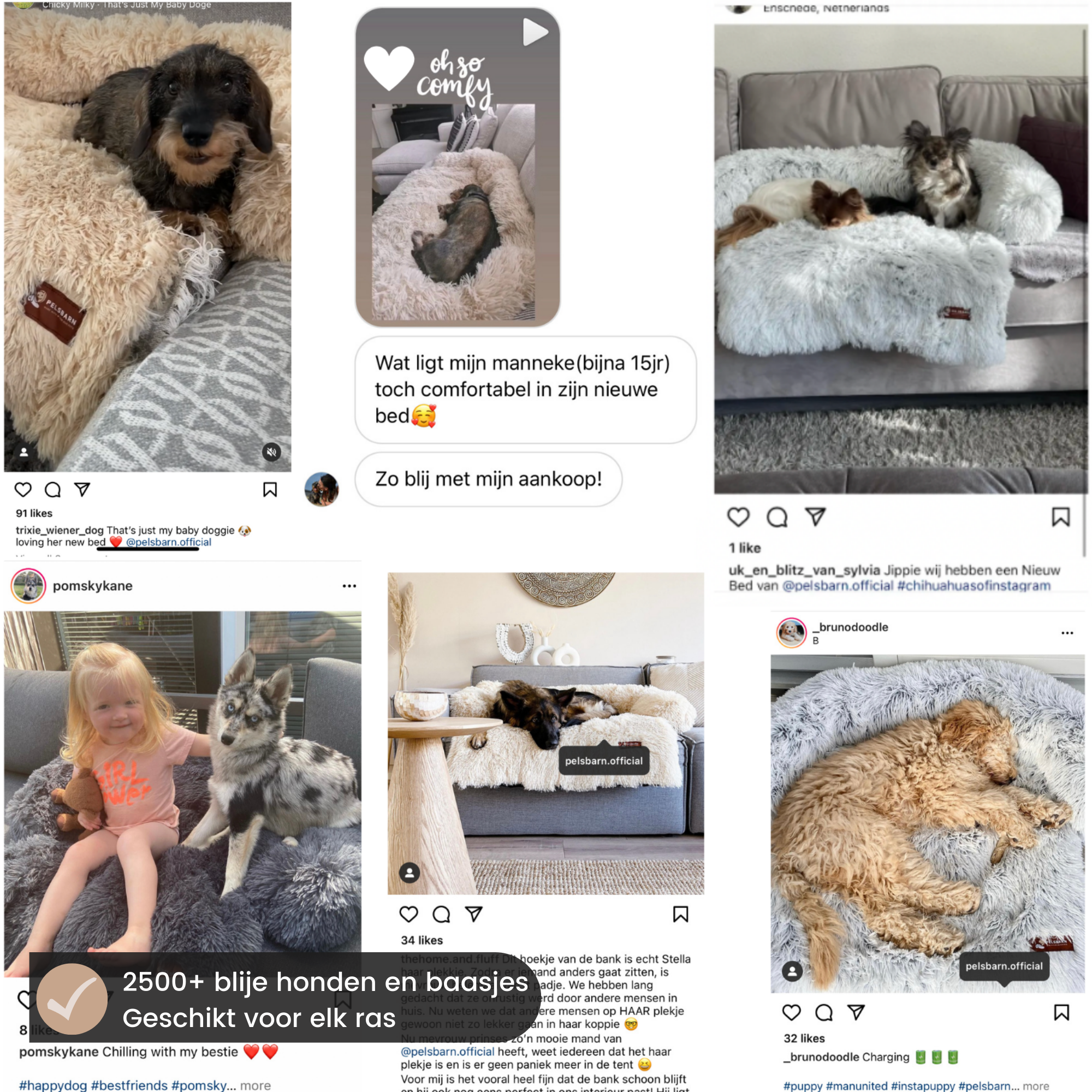 Fluffy Calming dog bed (2-in-1)