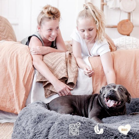 Fluffy Calming dog bed (2-in-1)