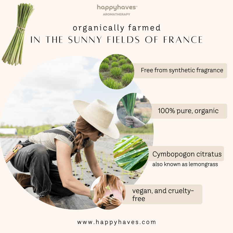 Organic Lemongrass Essential Oil